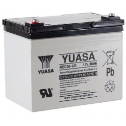 Аккумуляторная батарея YUASA REC36-12I 12V 36Ah (8685)